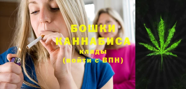 стафф Дедовск